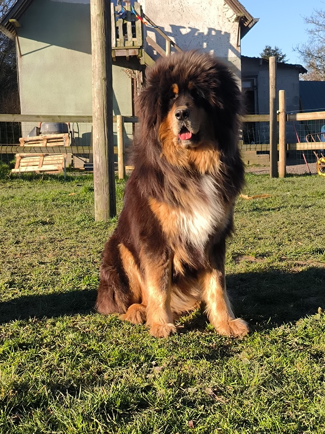 Unique du domaine de Toundra